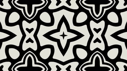 Hypnotic Black and White Abstract Morphing Pattern Loop