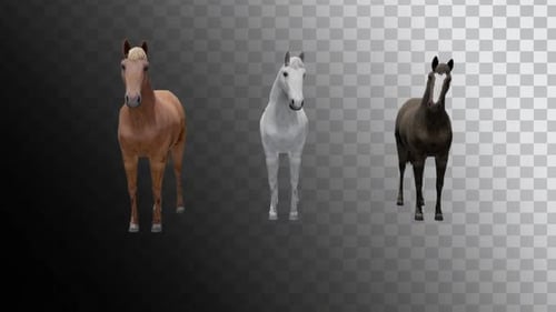 Three Animated 3D Horses Standing and Grazing Cycle