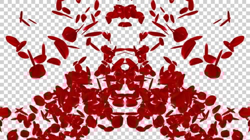 Fluid Red Rose Petals Flying Overlay Transition