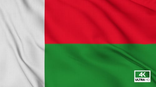 Seamless Loop of Madagascar National Flag Waving in Wind
