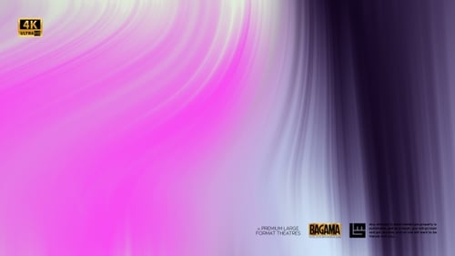 Vivid Harmony Gradient Background