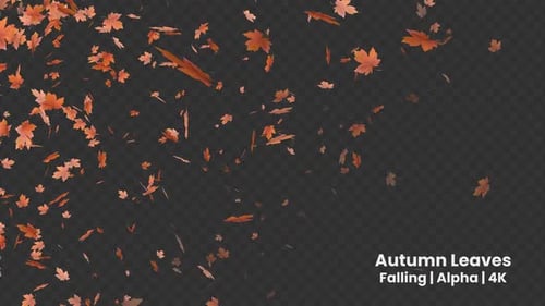 Autumn Leaves Falling Alpha