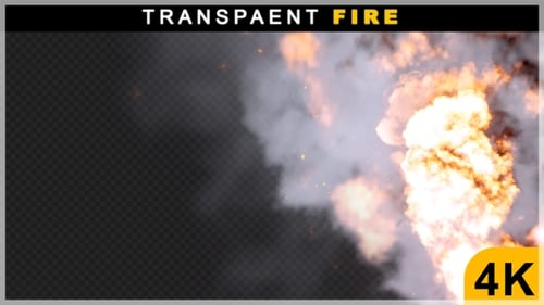 Dynamic Fire Explosion with Billowing Smoke