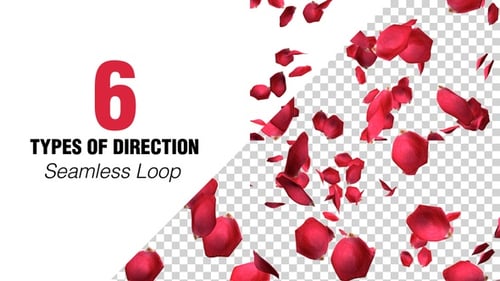 Flying Rose Petals Pack