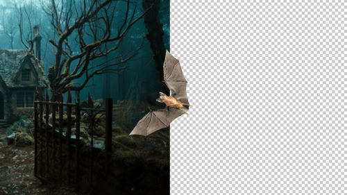 Fledermaus Fly 2