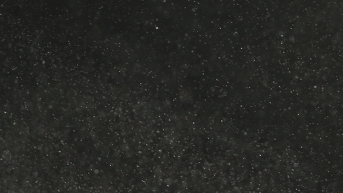 Floating Particles on Black Background with Subtle Movement