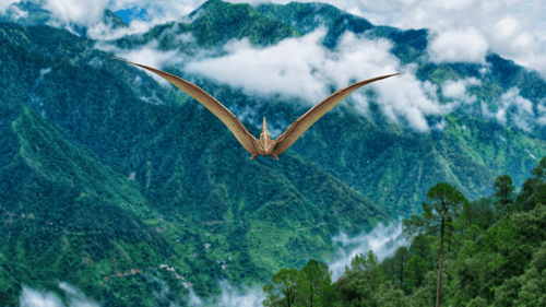 Realistic 3D Pterodactyl Flying Animation