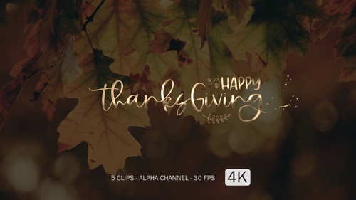 Happy Thanksgiving Golden Script Title Animation