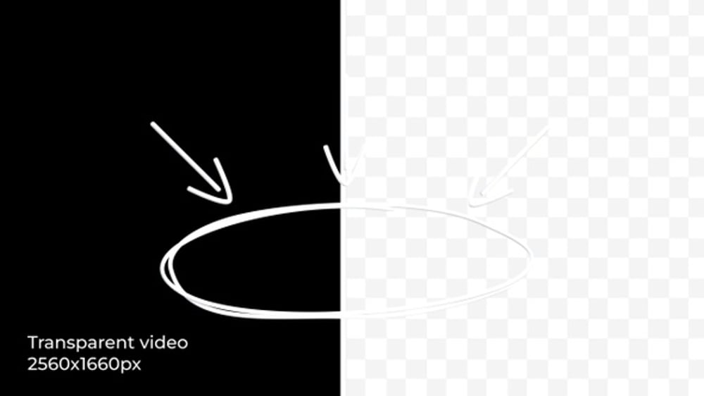 Hand Drawn Circle Highlight Animation (2K, Transparent), Elements ...