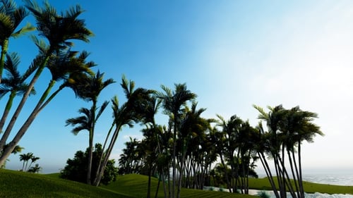 Beautiful View Of Tropical Island