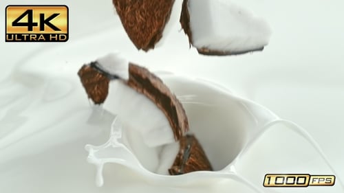 Coconut Pieces Falling and Splashing in White Liquid