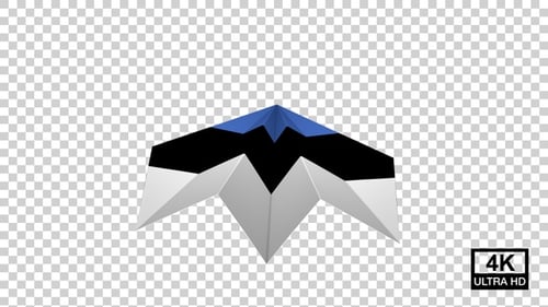 Paper Airplane Of Estonia Flag