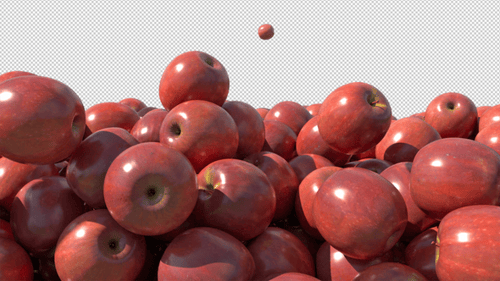 Apple Fall Transition
