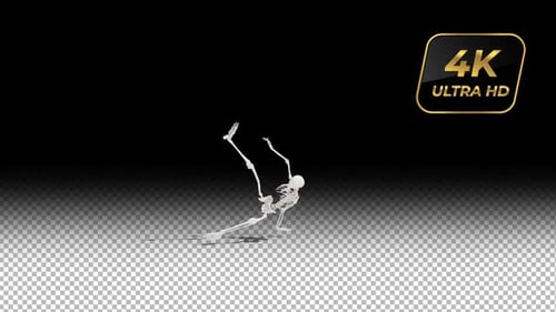 3D Skeleton Disco Dance – Seamless Loop