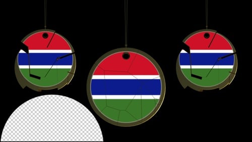 Circular Flag Emblem Reveal Animation with Cracking Effect