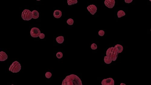 Falling Raspberries