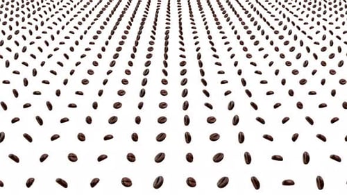 4K Rotating many coffee beans on white loop background.
