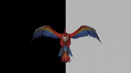 Parrot flies under the camera, Alpha Channel
