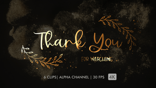Animated Thank You Message with Decorative Flourishes