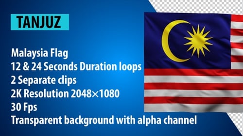 Realistic Waving Malaysian Flag Video Loop