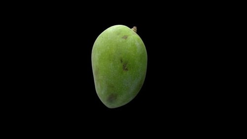 Green Mango Rotating