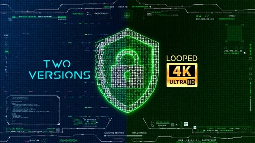 Digital System Security 4K