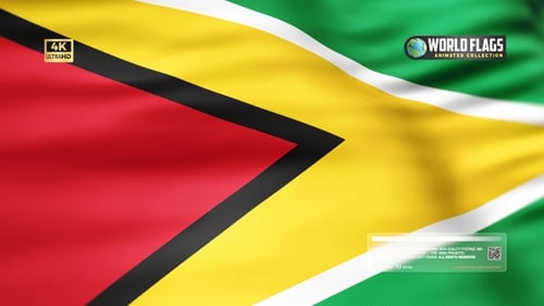 Realistic Waving Flag of Guyana