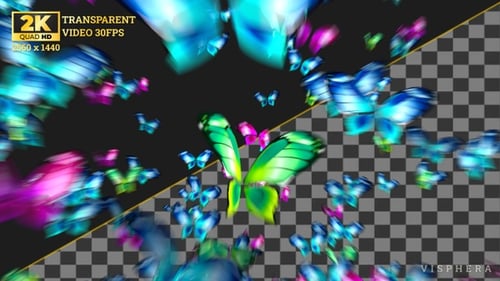 Butterfly Burst