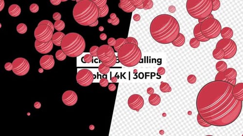 Dynamic Falling Cricket Balls Sports Animation with Alpha