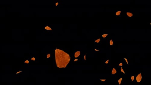 Falling autumn yellow leaves slow motion, isolated on channel 3D Aniamtion