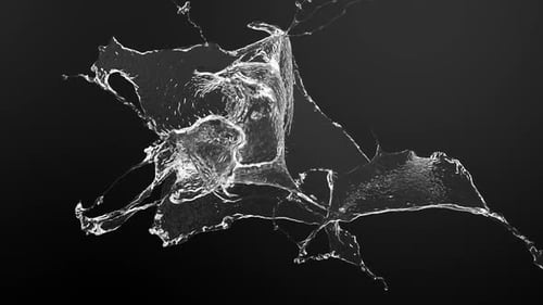 Dynamic Fluid Water Splash Transition