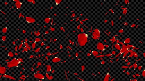 Rosenblätter Explosion Alpha V3