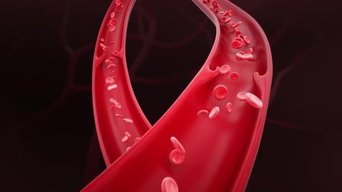 Red Blood Cells Flowing Through Blood Vessels 3D Medical Animation