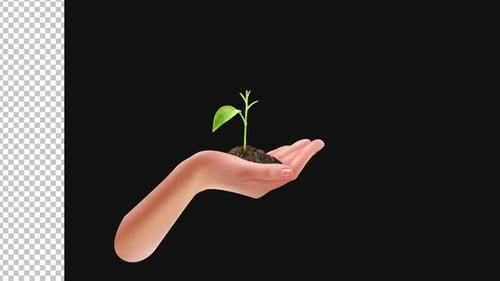 Plant Growing Environment Day Alpha 1080p