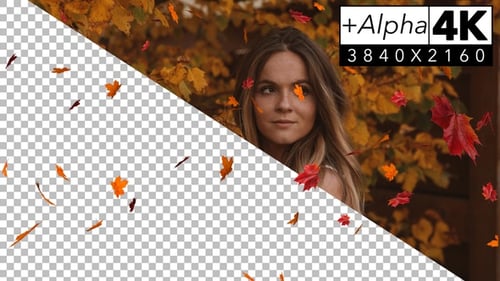 Falling Autumn Leaves Seamless Loop Background