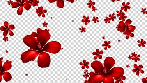 Flor roja cayendo Alpha V3