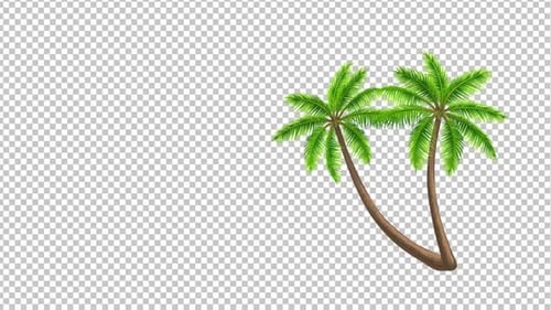 Coconut Tree Animation 1080p