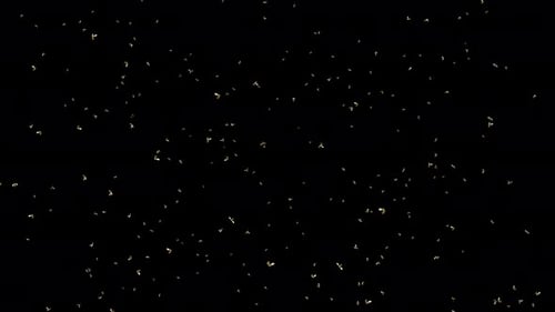 Swarm of Bees Fly Green Screen 3D Loop Background animation.