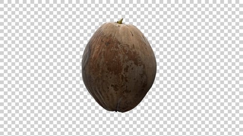 Seamlessly Rotating Coconut Animation