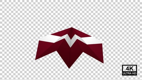 Paper Airplane Of Latvia Flag