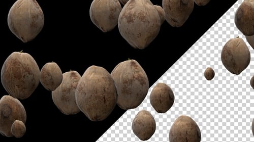 Falling Coconuts Animation Loop with Alpha Channel