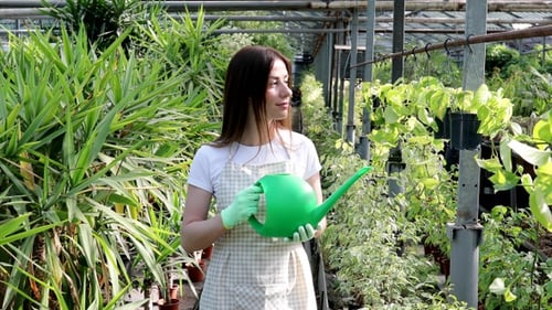 Woman Gardener with Watering Can in Greenhouse