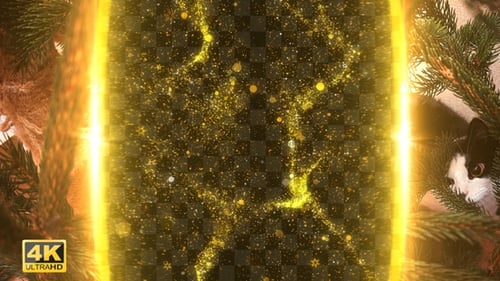 Transições de Natal