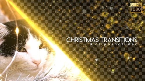 Christmas Lights Transitions