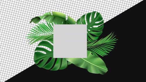 Tropical Palm Leaves Background | Alpha Channel
