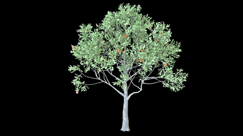 Apple Tree inaktiv