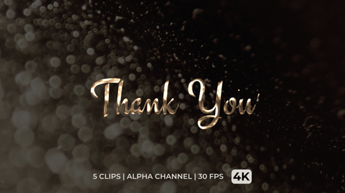 Golden Metallic Cursive Thank You Title Animation