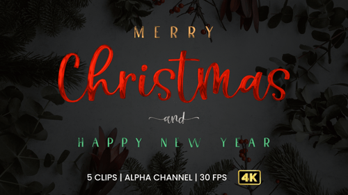 Decorative Metallic Merry Christmas and Happy New Year Title Animation