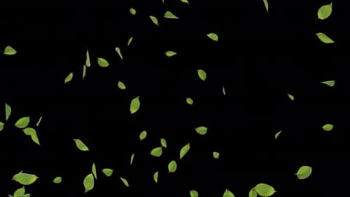 Leaves Green Falling with Autumn Leaves Realistic 3D Channel .