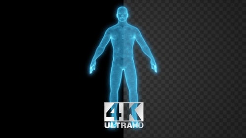 Futuristic Blue Wireframe Human Body Hologram Rotation